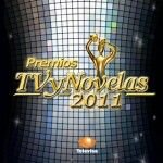 Ganadores Premios TVyNovelas 2011, Para volver a amar la mejor telenovela