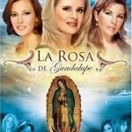 Nuevo horario de La rosa de Guadalupe